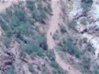 C- Yavapai Point Canyon View (7).jpg (77kb)
